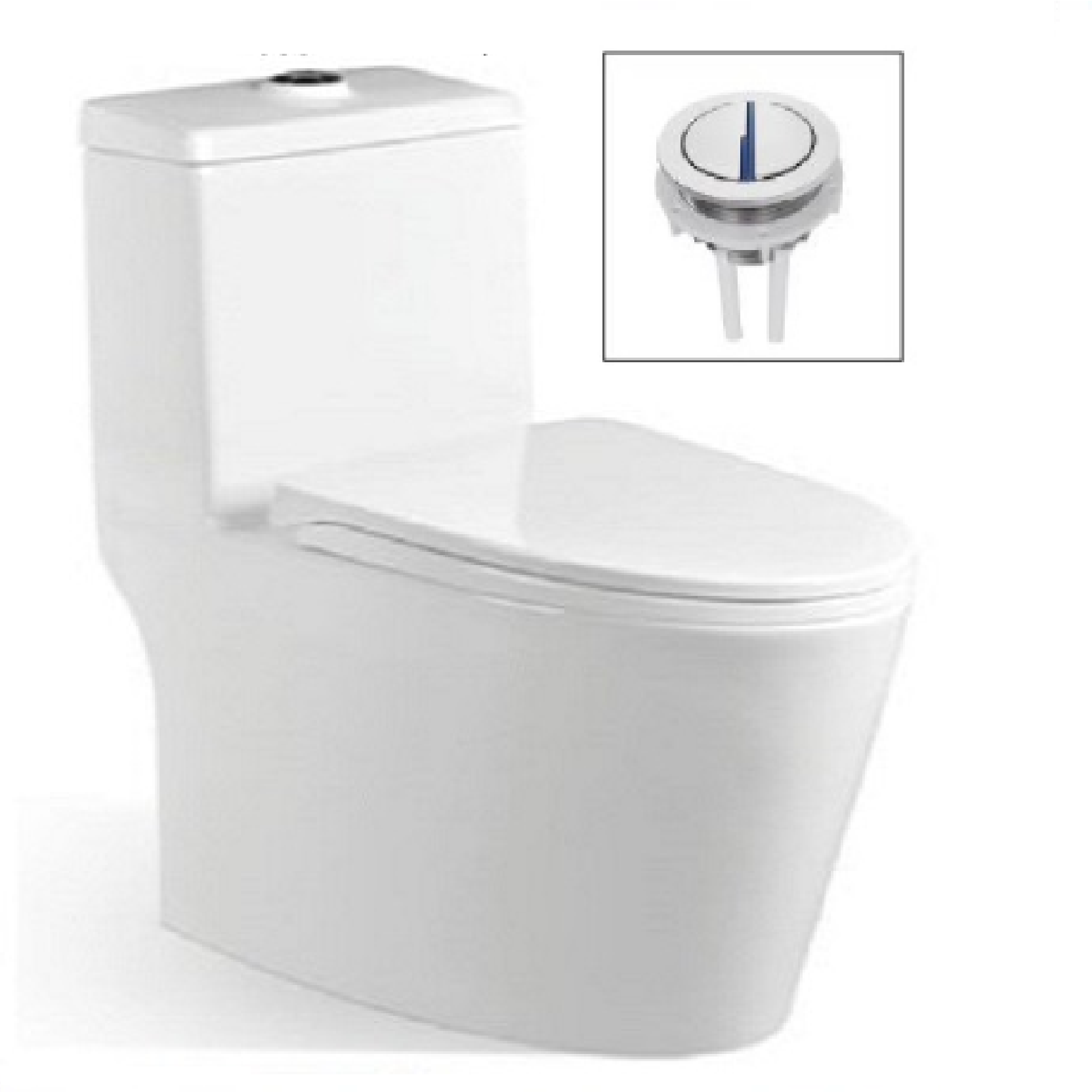 VASILE V599 One-Piece Closet Dual Flush Toilet Bowl